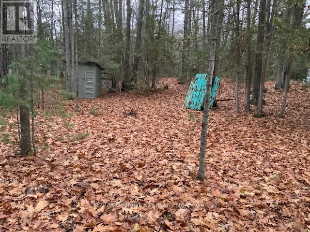 46 Oakwood Avenue Nw, Tiny, Ontario  L9M 0J2 - Photo 2 - S12591418