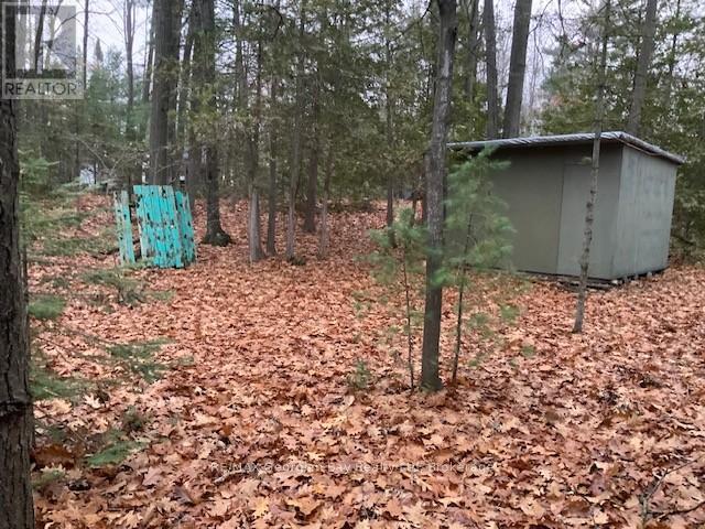 46 Oakwood Avenue Nw, Tiny, Ontario  L9M 0J2 - Photo 3 - S12591418