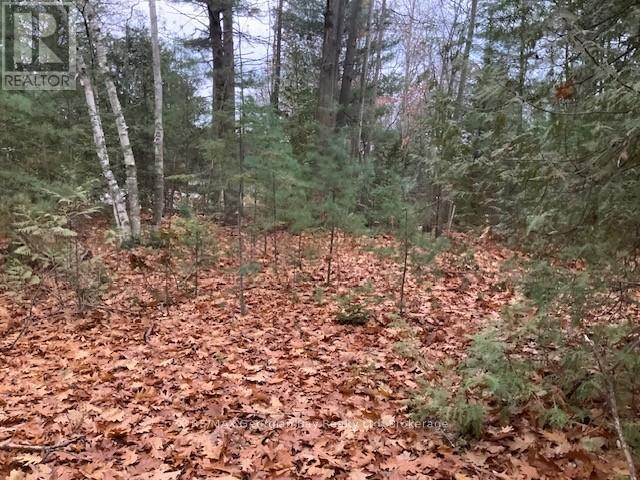 46 Oakwood Avenue Nw, Tiny, Ontario  L9M 0J2 - Photo 4 - S12591418