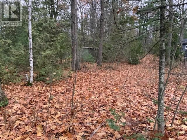 46 Oakwood Avenue Nw, Tiny, Ontario  L9M 0J2 - Photo 6 - S12591418