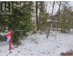 46 Oakwood Avenue Nw, Tiny, Ca