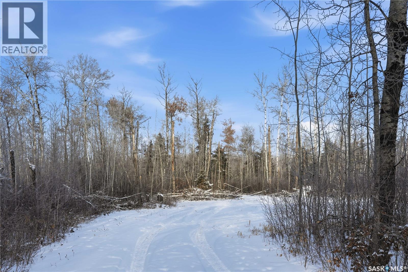 204 Sunrise Crescent, Paddockwood Rm No. 520, Saskatchewan  S0J 0N0 - Photo 14 - SK012537