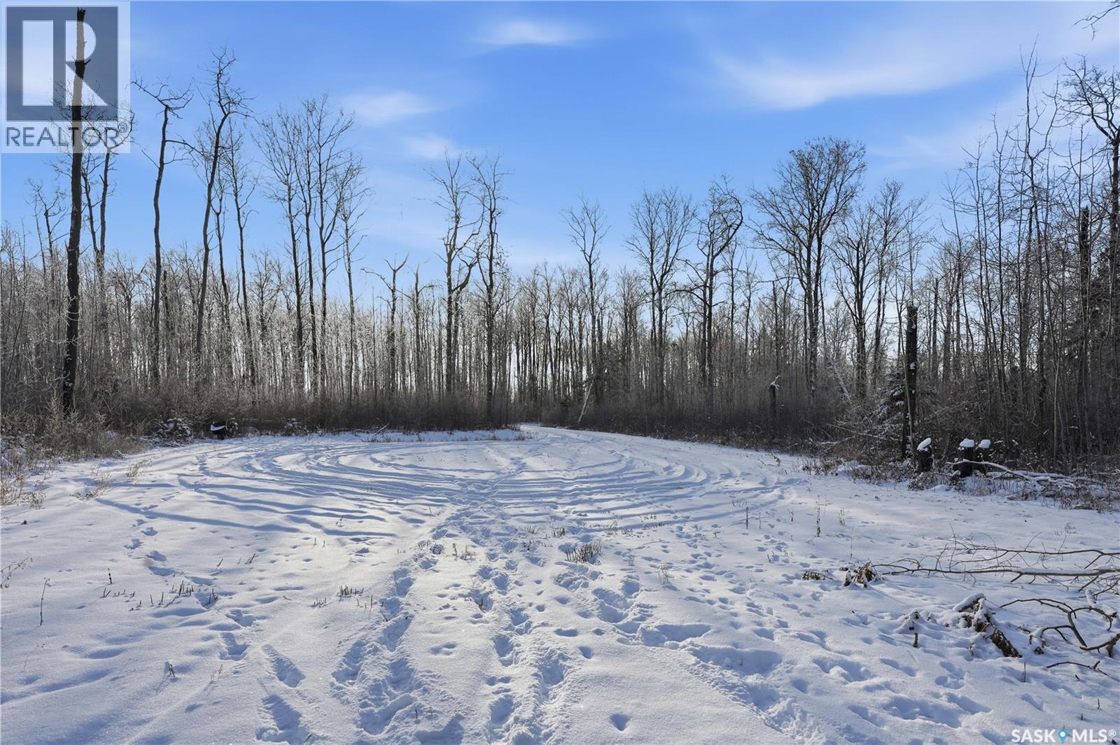 204 Sunrise Crescent, Paddockwood Rm No. 520, Saskatchewan  S0J 0N0 - Photo 13 - SK012537