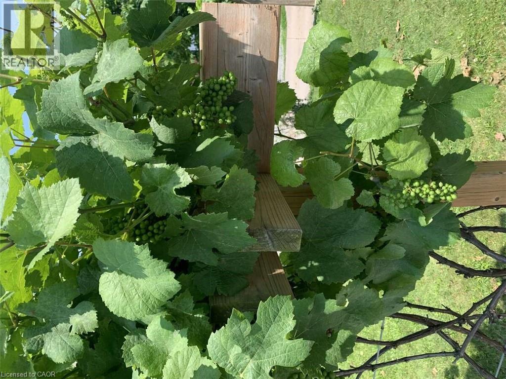 4322 Bampfield Street, Niagara Falls, Ontario  L2E 1G8 - Photo 49 - 40749908