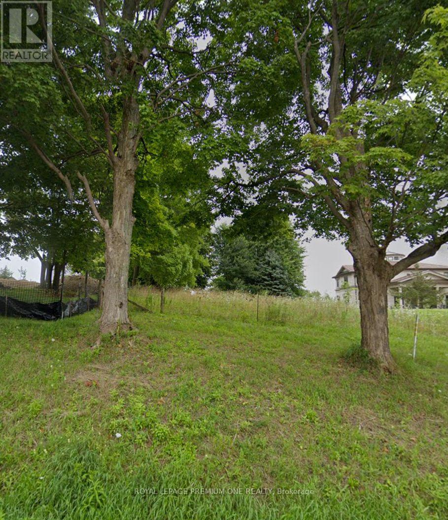 0 Weston Road, King, Ontario  L7B 1K4 - Photo 3 - N12517226