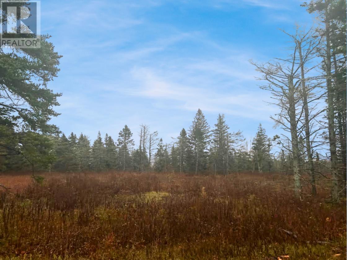 Lot Route 336, Cable Head West, Prince Edward Island  C0A 2A0 - Photo 3 - 202528869