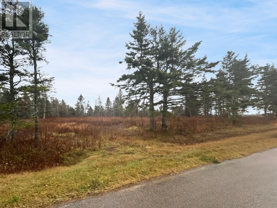 Lot Route 336, Cable Head West, Prince Edward Island  C0A 2A0 - Photo 4 - 202528869