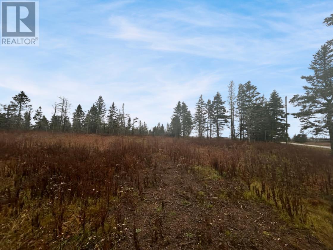 Lot Route 336, Cable Head West, Prince Edward Island  C0A 2A0 - Photo 5 - 202528869