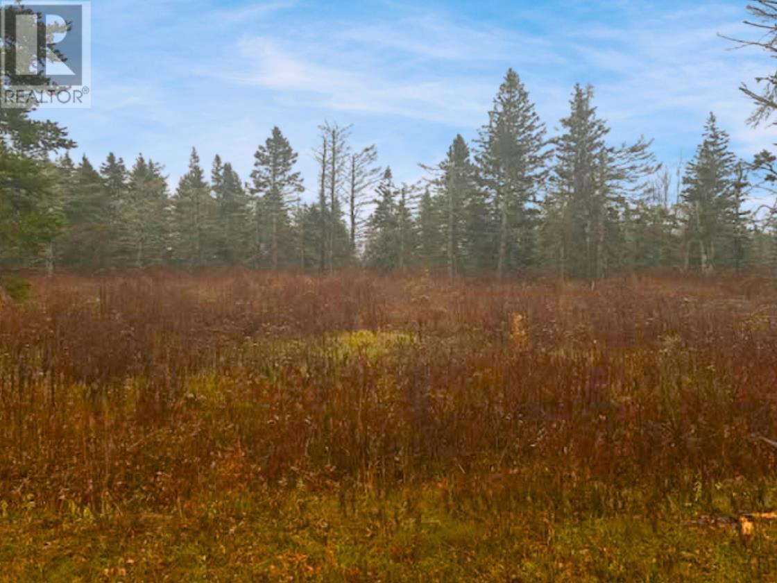 Lot Route 336, Cable Head West, Prince Edward Island  C0A 2A0 - Photo 6 - 202528869