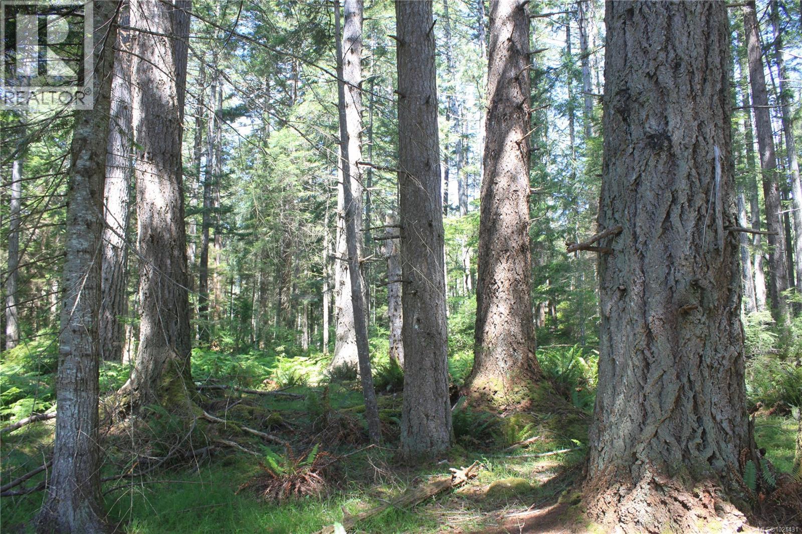 1 Lennie Rd, Lasqueti Island, British Columbia  V0R 2J0 - Photo 11 - 1021431