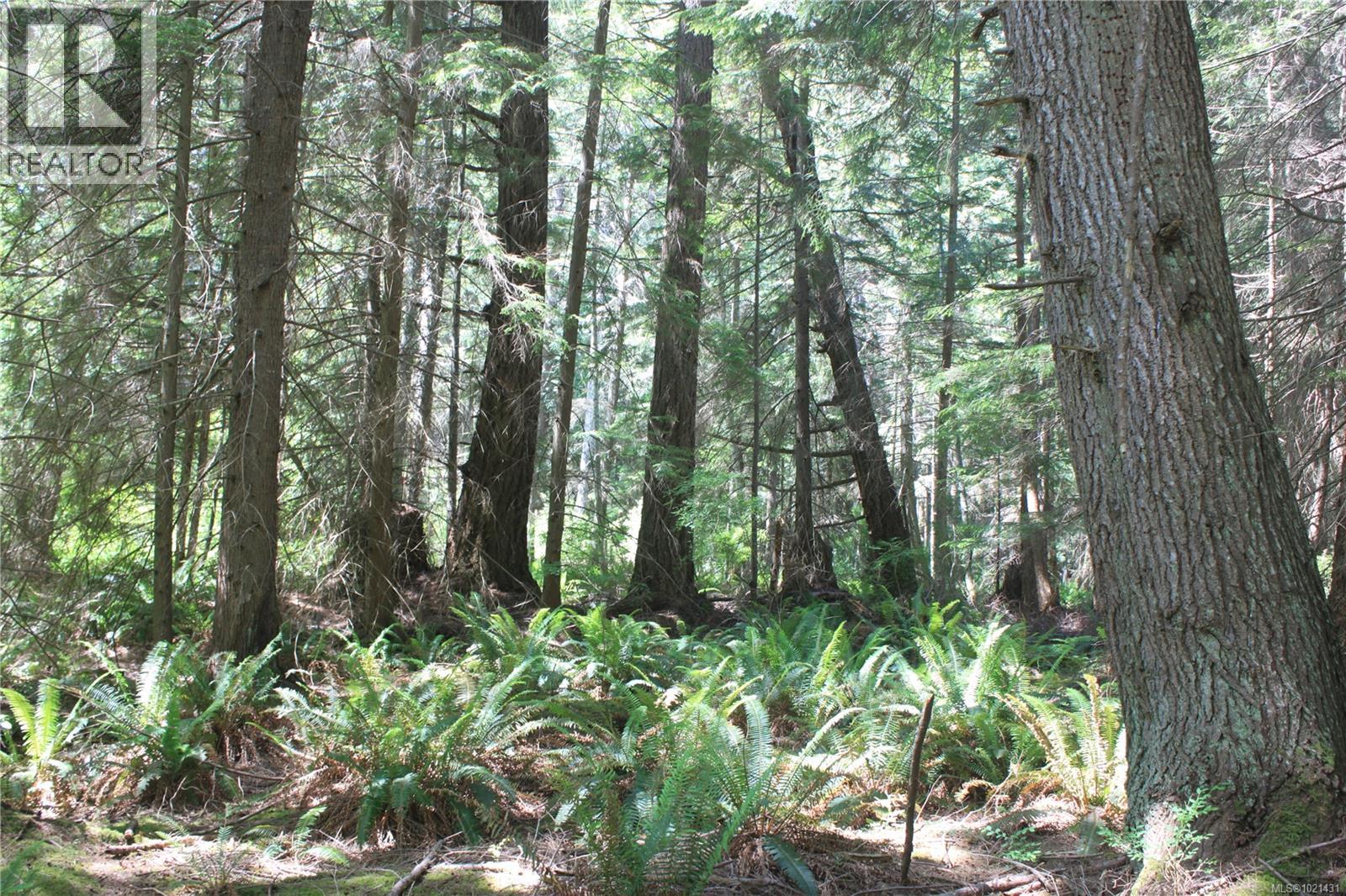 1 Lennie Rd, Lasqueti Island, British Columbia  V0R 2J0 - Photo 13 - 1021431