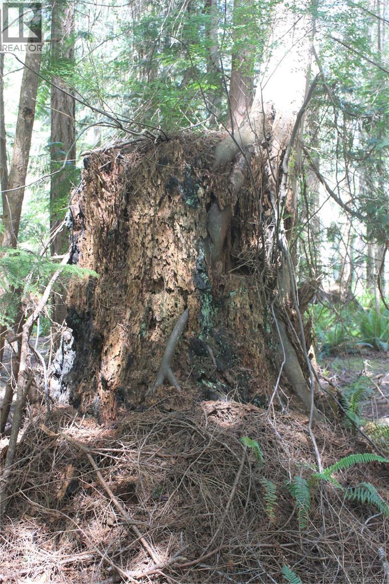 1 Lennie Rd, Lasqueti Island, British Columbia  V0R 2J0 - Photo 14 - 1021431