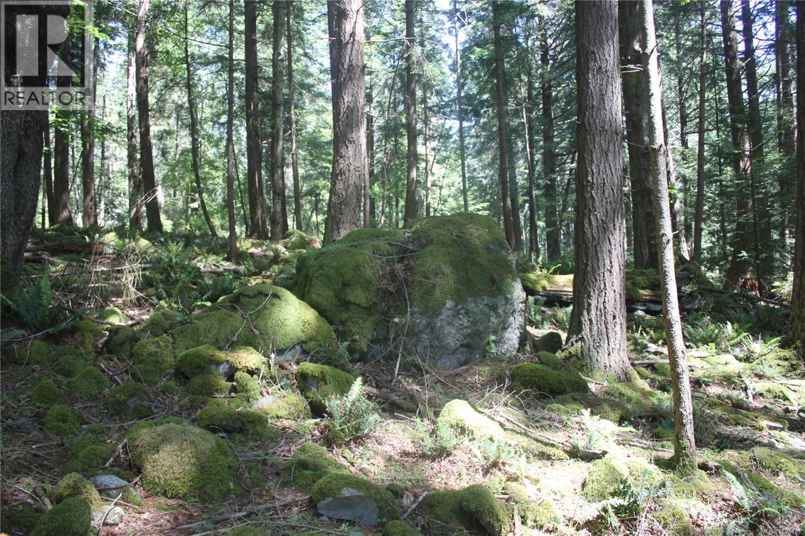 1 Lennie Rd, Lasqueti Island, British Columbia  V0R 2J0 - Photo 4 - 1021431