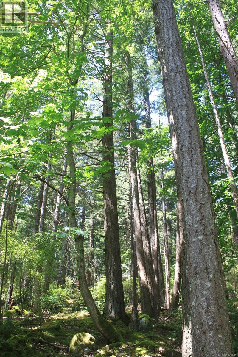 1 Lennie Rd, Lasqueti Island, British Columbia  V0R 2J0 - Photo 6 - 1021431