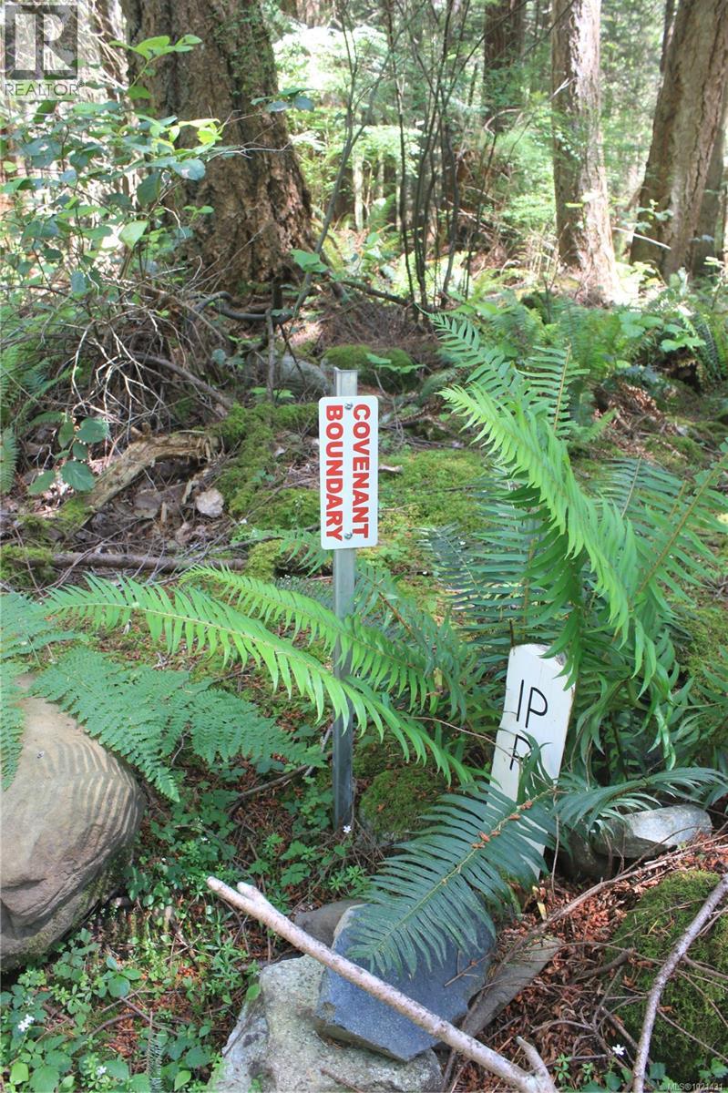 1 Lennie Rd, Lasqueti Island, British Columbia  V0R 2J0 - Photo 7 - 1021431