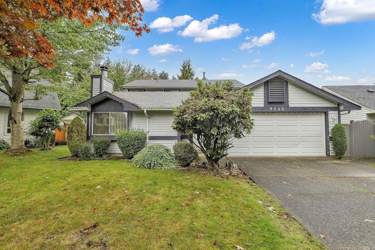 9145 122b Street, Surrey, British Columbia  V3V 7M6 - Photo 35 - R3071257