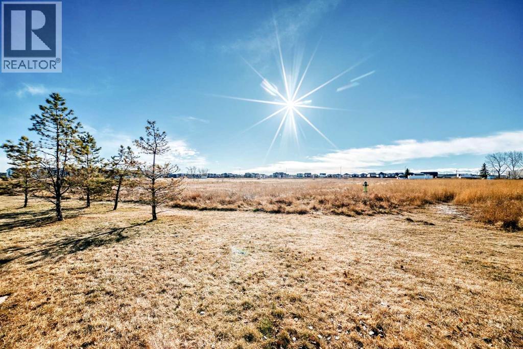 1213, 2461 Baysprings Link Sw, Airdrie, Alberta  T4B 4C6 - Photo 50 - A2268549