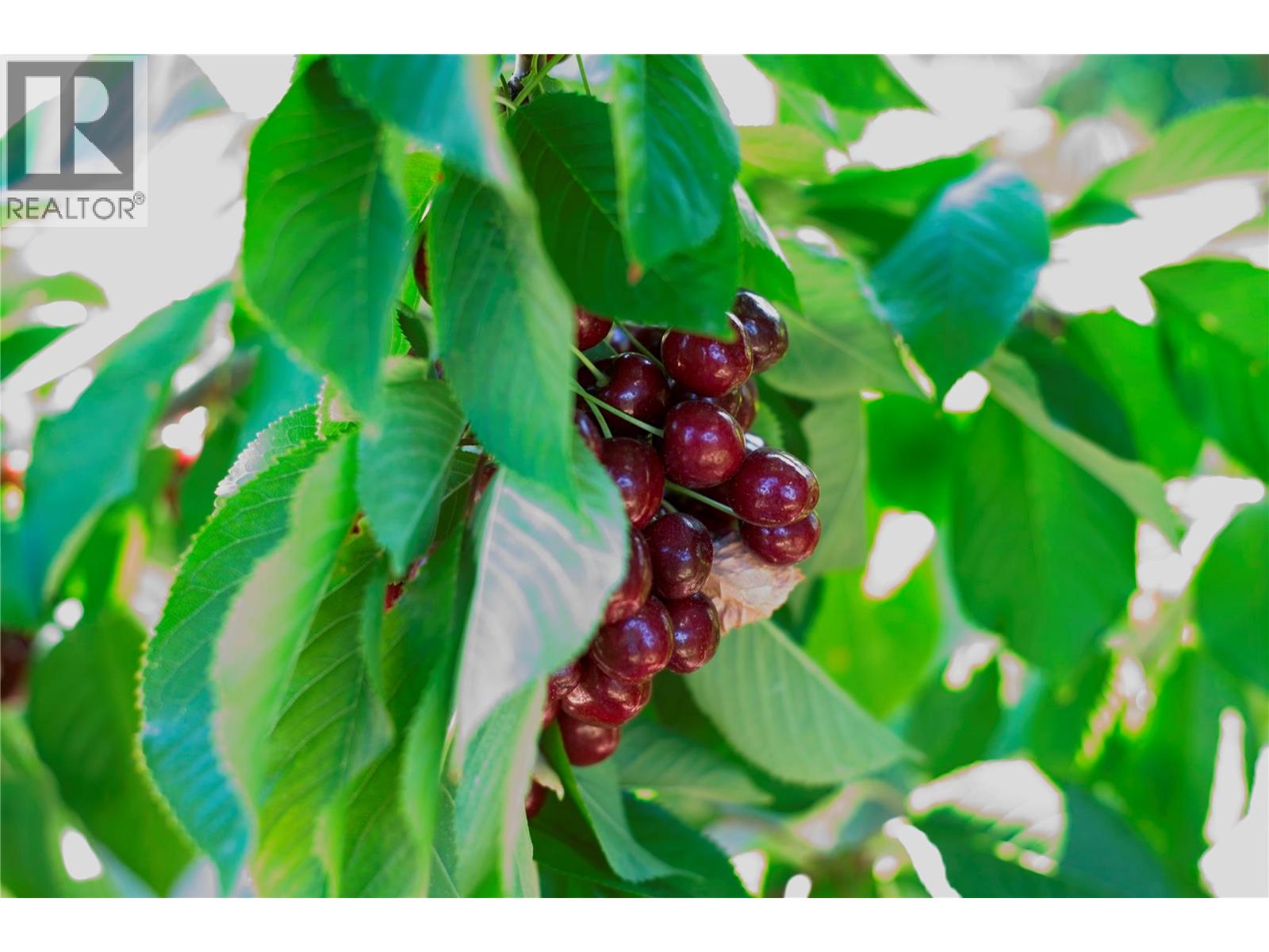 3423 3A Highway Creston Photo 47 3423 3A Highway Creston Photo 47