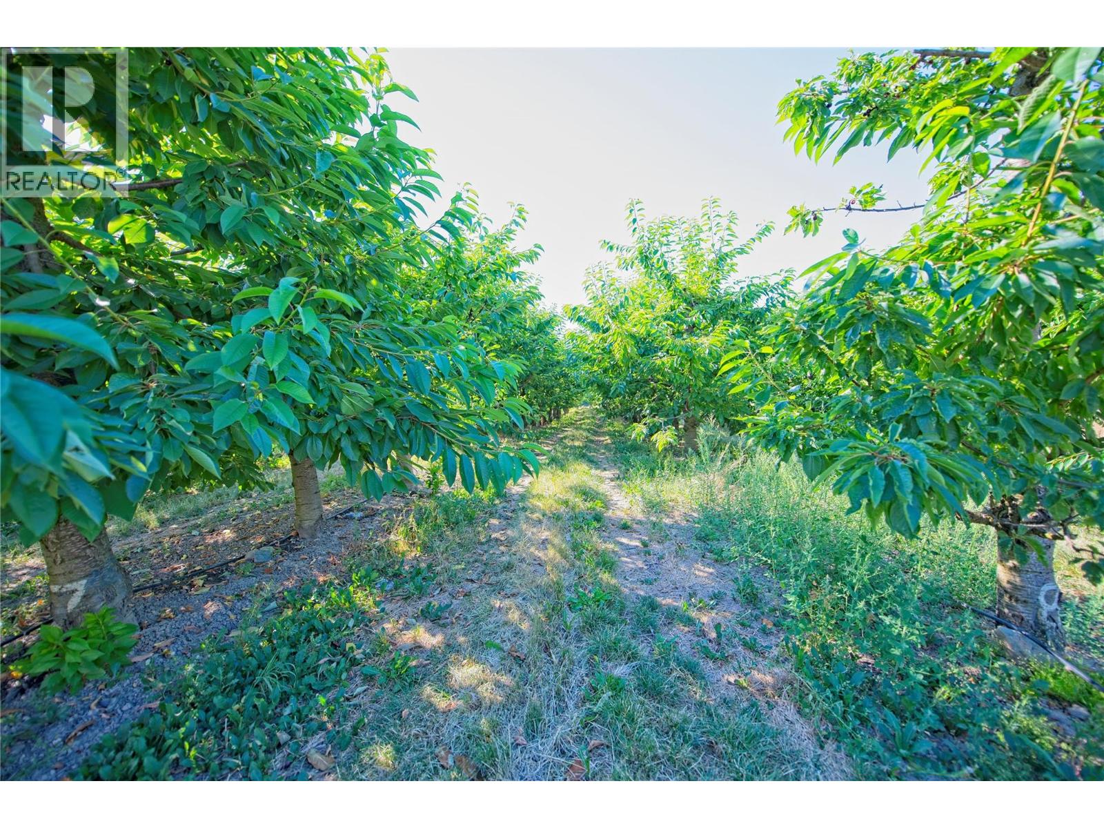 3423 3A Highway Creston Photo 46 3423 3A Highway Creston Photo 46