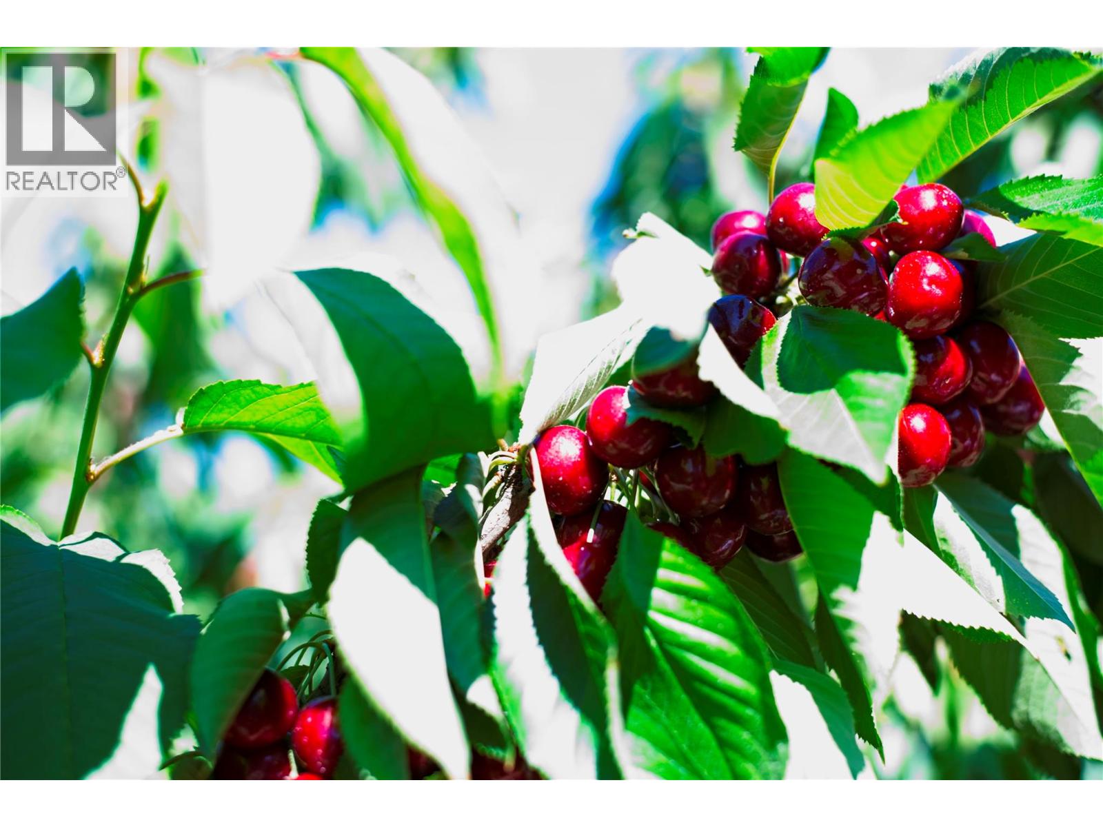 3423 3A Highway Creston Photo 48 3423 3A Highway Creston Photo 48