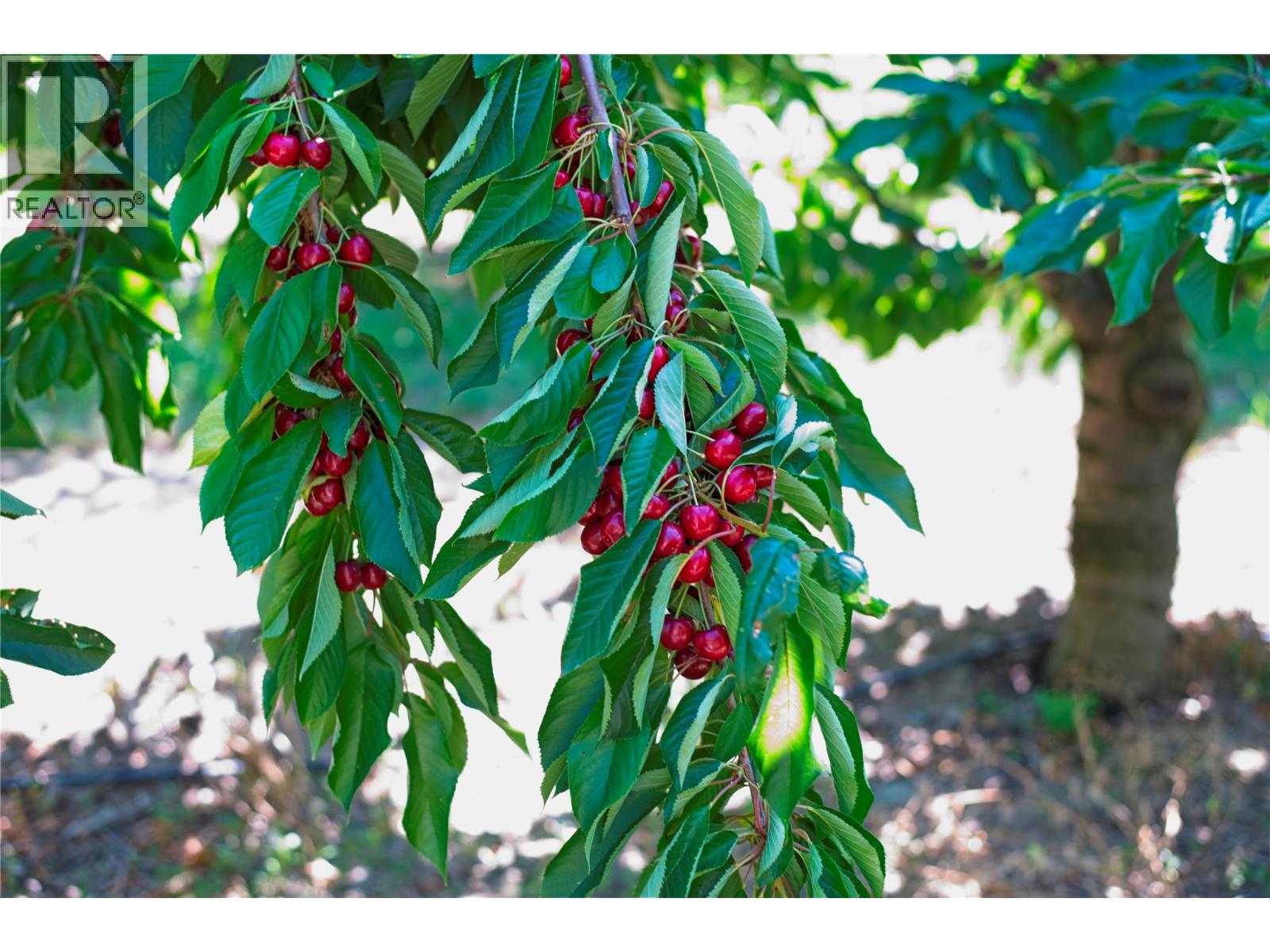 3423 3A Highway Creston Photo 49 3423 3A Highway Creston Photo 49