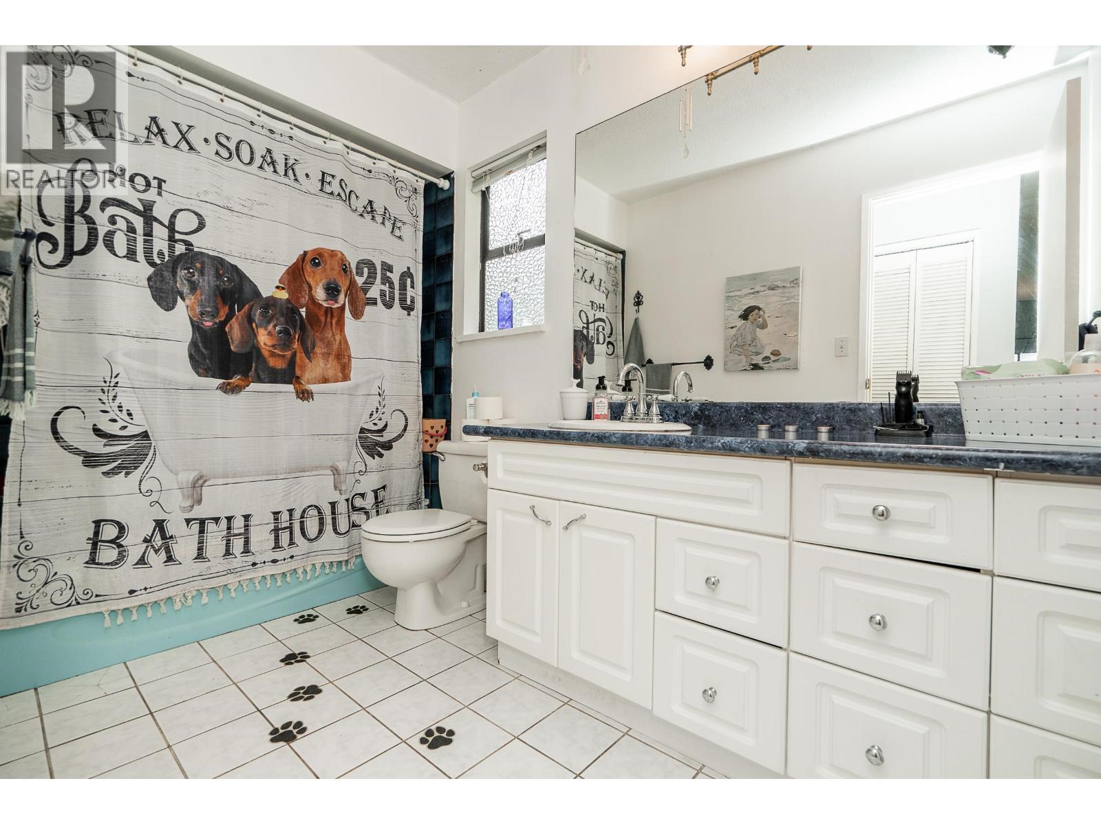 992 Saddle Street, Coquitlam, British Columbia  V3C 3N5 - Photo 18 - R3071339