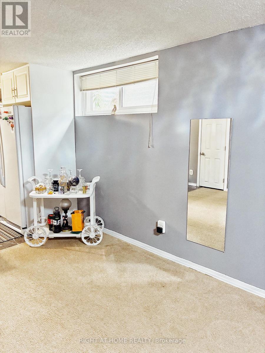 Basement Apt - 120 Simonston Boulevard, Markham, Ontario  L3T 4L8 - Photo 10 - N12515046