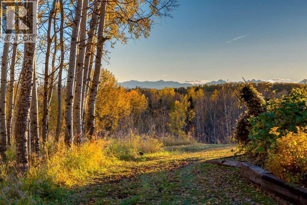 2511687;6;1, Rural Foothills County, Alberta  T1S 2V2 - Photo 23 - A2260389