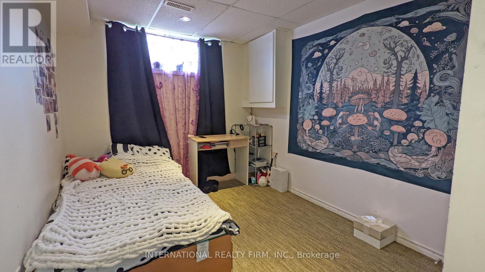 Basement - 63 Centre Street E, Richmond Hill, Ontario  L4C 1A3 - Photo 6 - N12591600