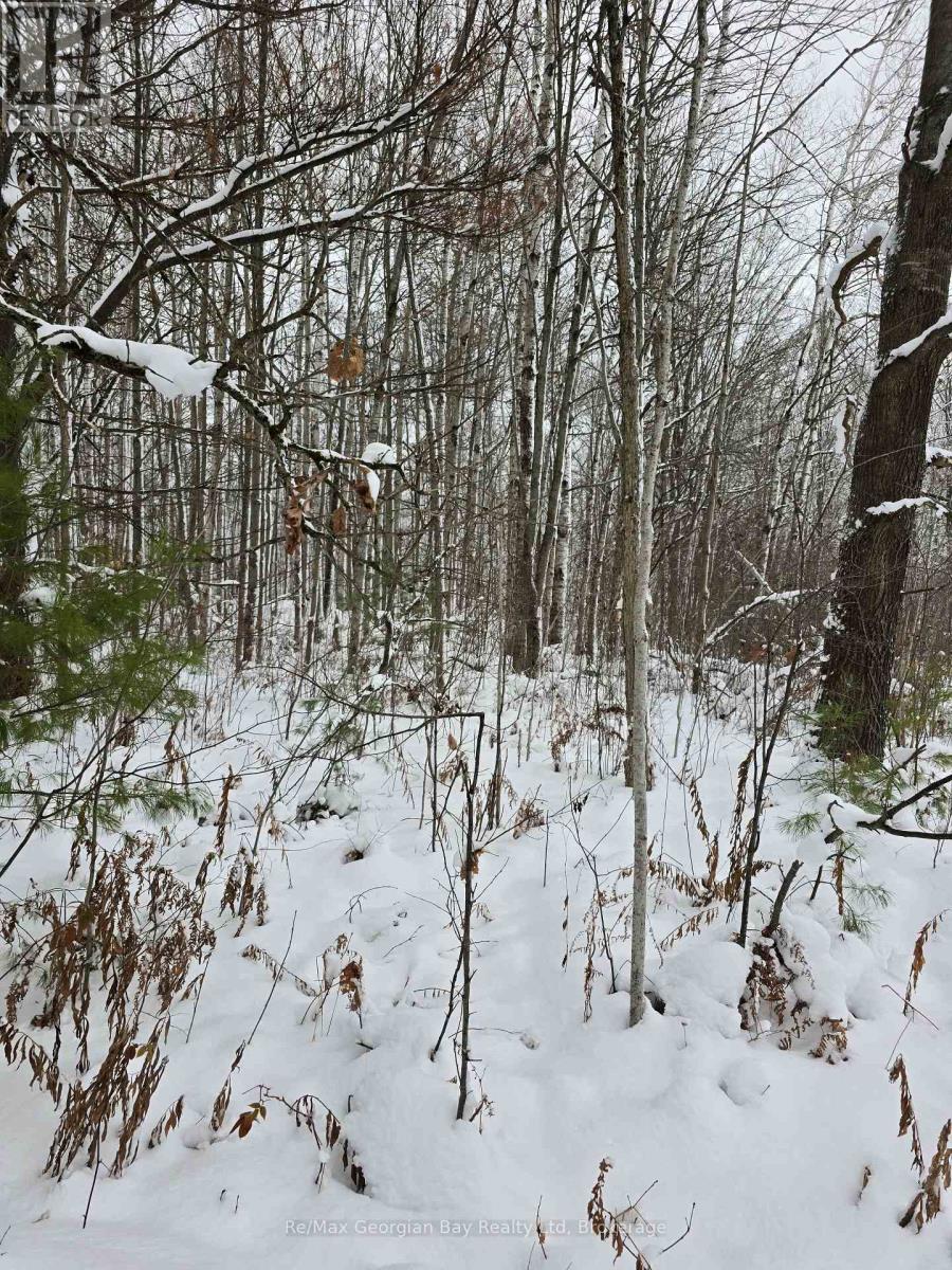 1666 Balkwill Line, Severn, Ontario L0K 1E0 - Photo 4 - S12505598