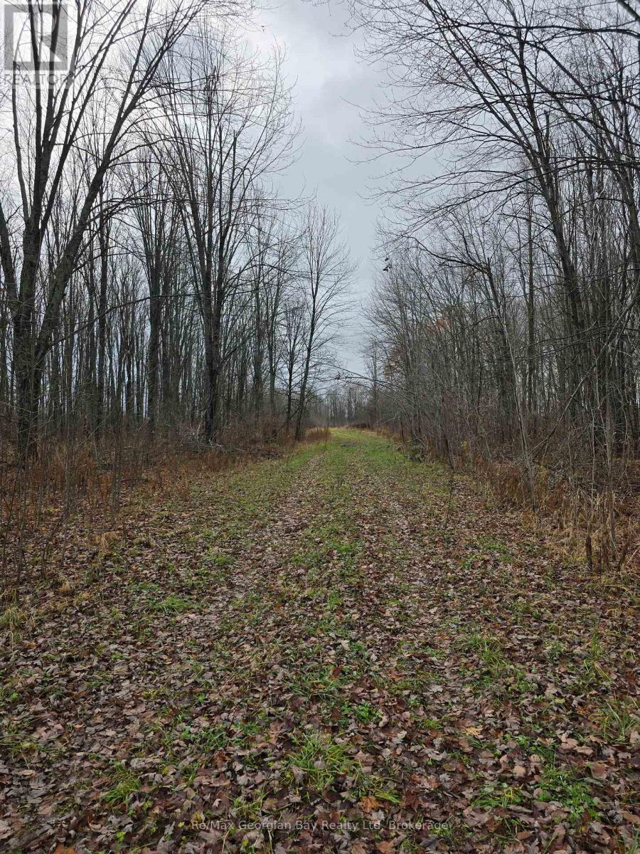 1666 Balkwill Line, Severn, Ontario L0K 1E0 - Photo 42 - S12505598