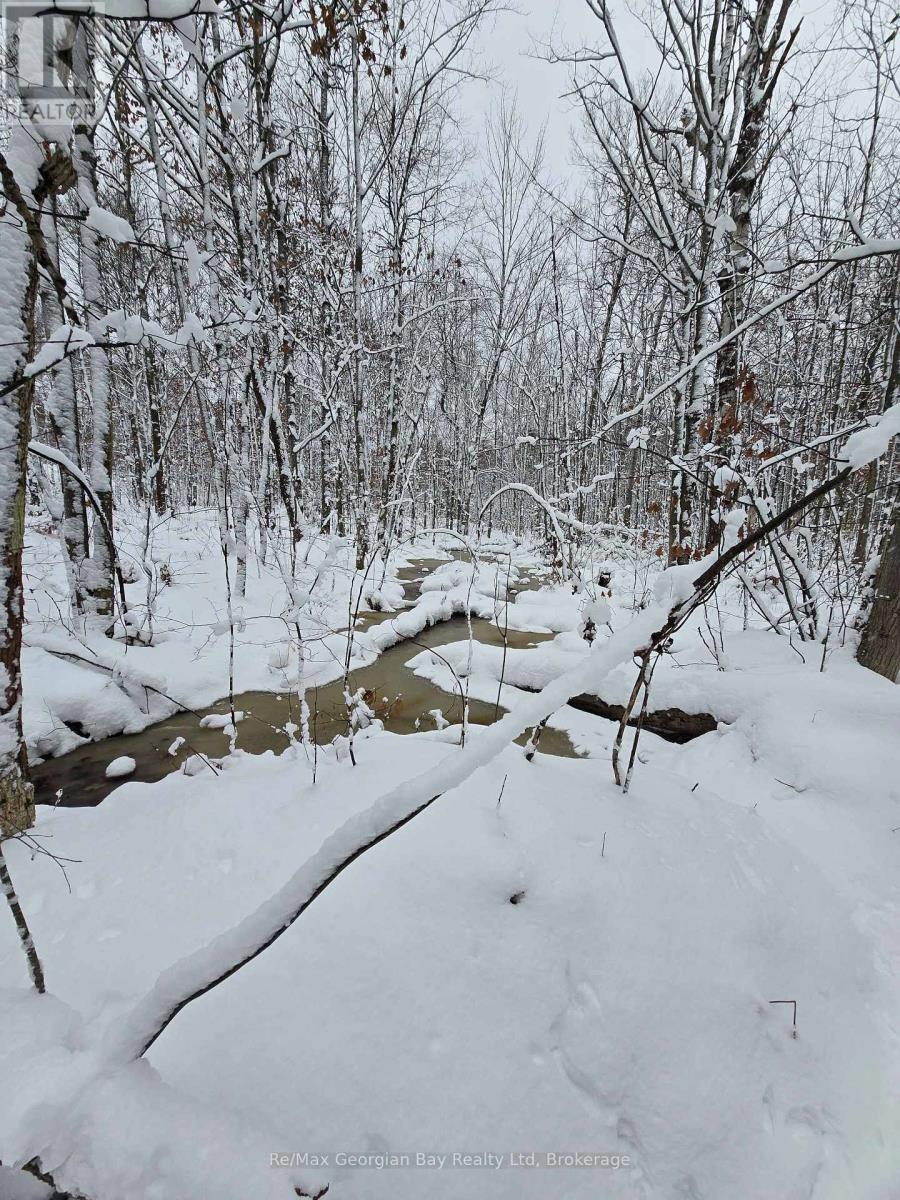 1666 Balkwill Line, Severn, Ontario L0K 1E0 - Photo 6 - S12505598