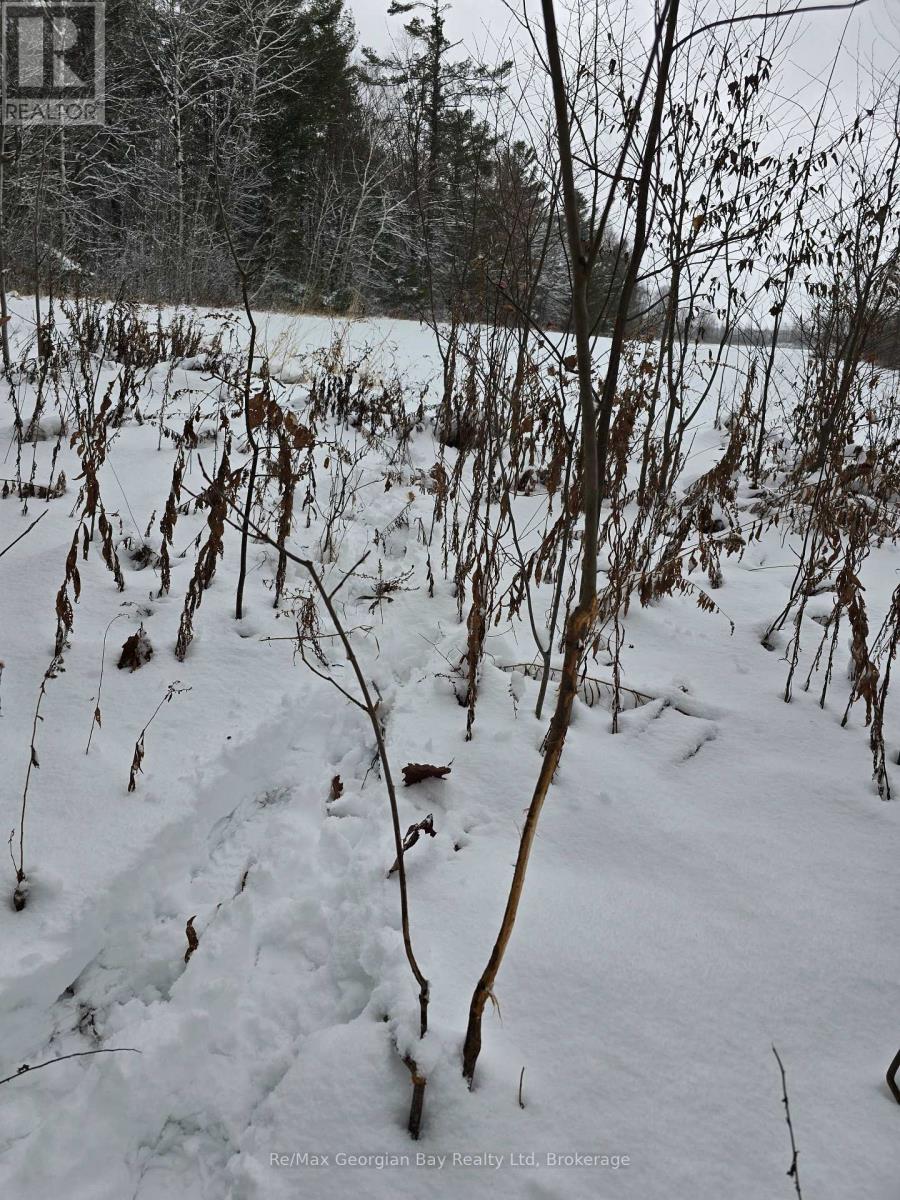 1666 Balkwill Line, Severn, Ontario L0K 1E0 - Photo 5 - S12505598