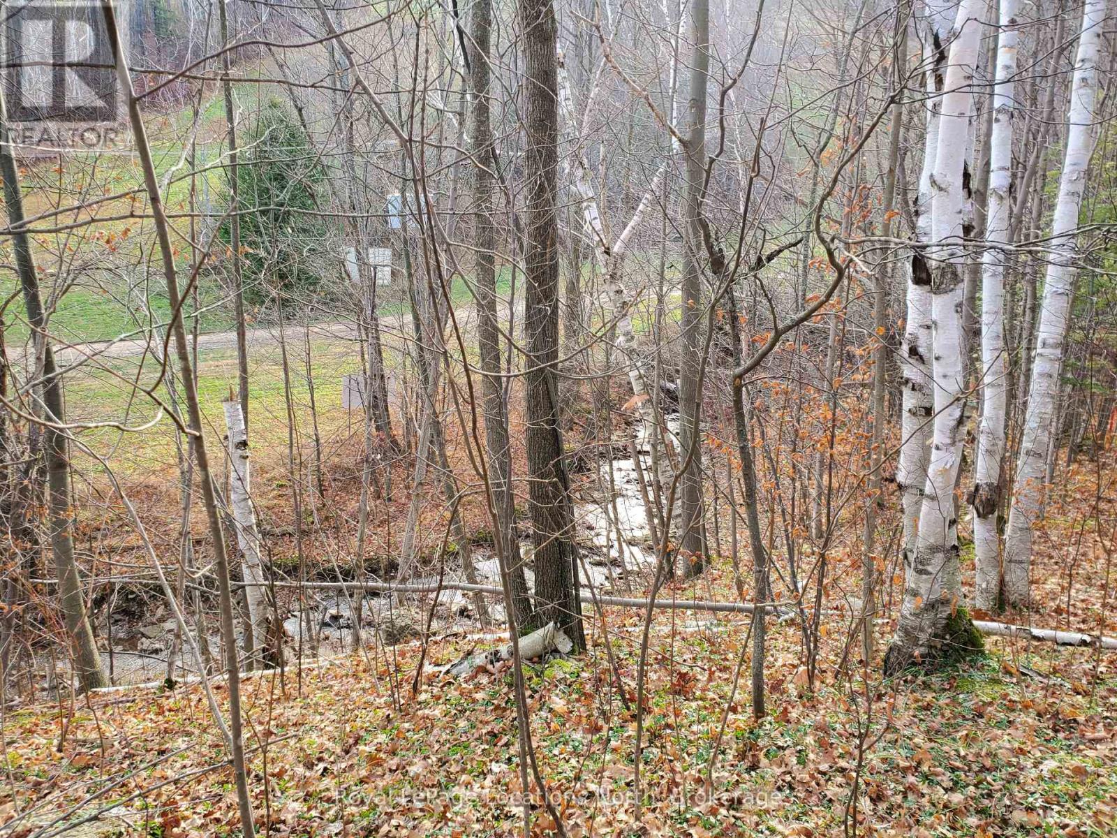 16 - 242 Arrowhead Road, Blue Mountains, Ontario  L9Y 0S1 - Photo 10 - X12591692