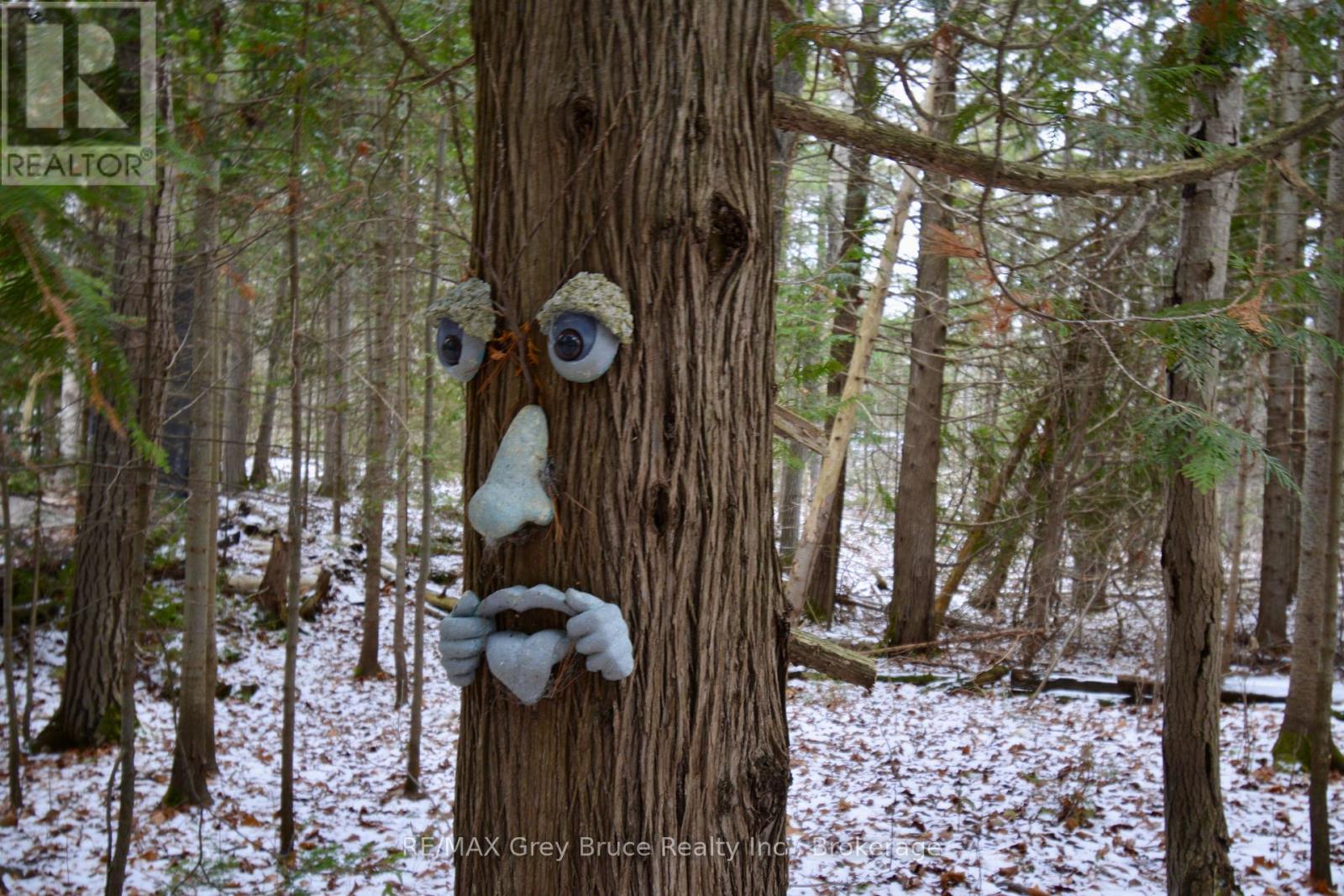 54 Carter Road, Northern Bruce Peninsula, Ontario  N0H 1W0 - Photo 47 - X12592802