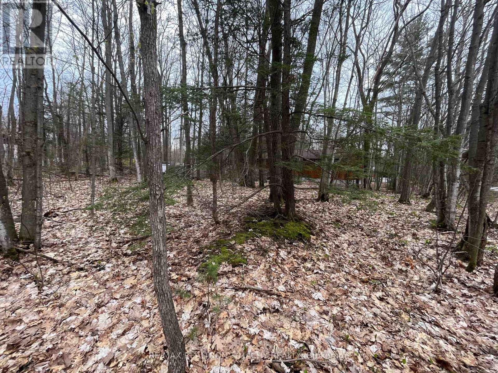 Lot 705 Wolfe Trail, Tiny, Ontario L9M 0H7 - Photo 2 - S12592064