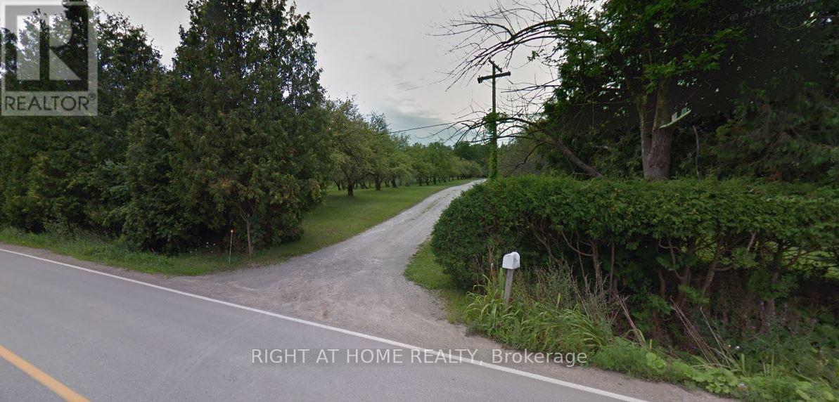 8774 Creditview Road, Brampton, Ontario  L6Y 0G4 - Photo 6 - W12575878