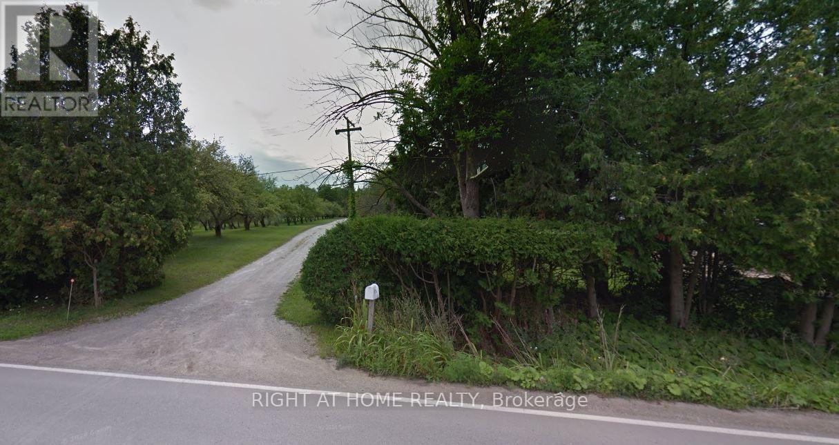 8774 Creditview Road, Brampton, Ontario  L6Y 0G4 - Photo 7 - W12575878