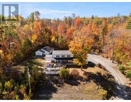 17276 HIGHWAY 41, Addington Highlands, Ontario