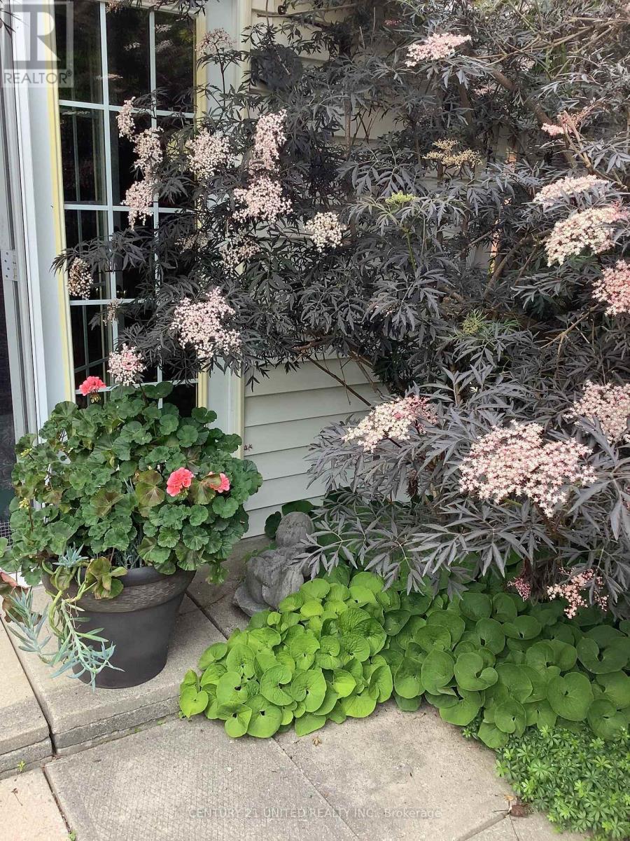 458 Driscoll Terrace, Peterborough, Ontario  K9H 1T7 - Photo 38 - X12574368