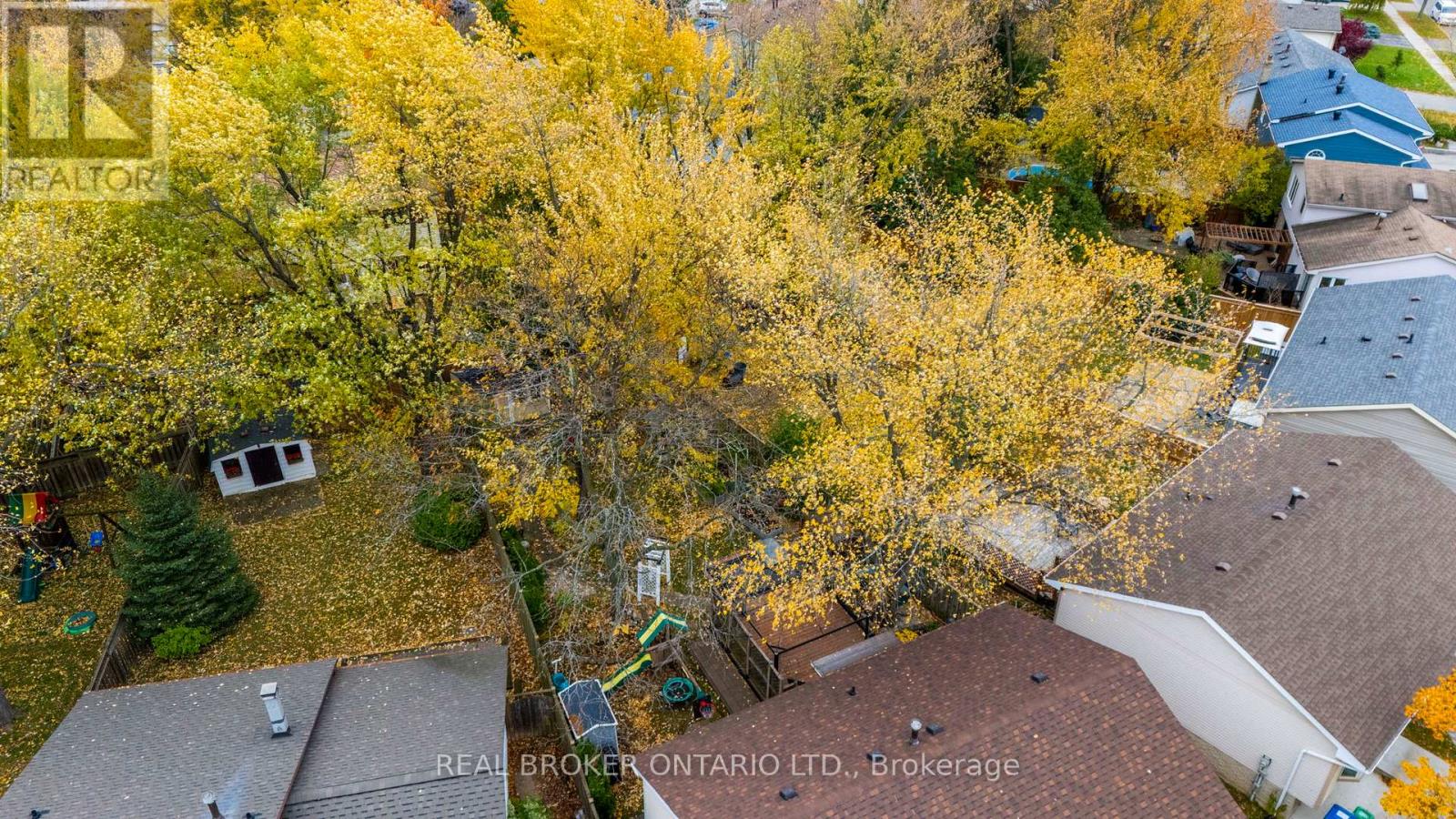 6891 Shelter Bay Road, Mississauga, Ontario L5N 1T8 - Photo 48 - W12592252