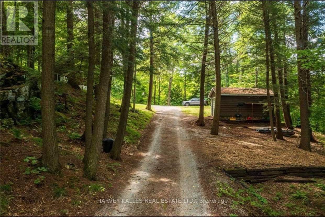 1047 Ransley Road, Minden Hills, Ontario  K0M 2K0 - Photo 8 - X12398551