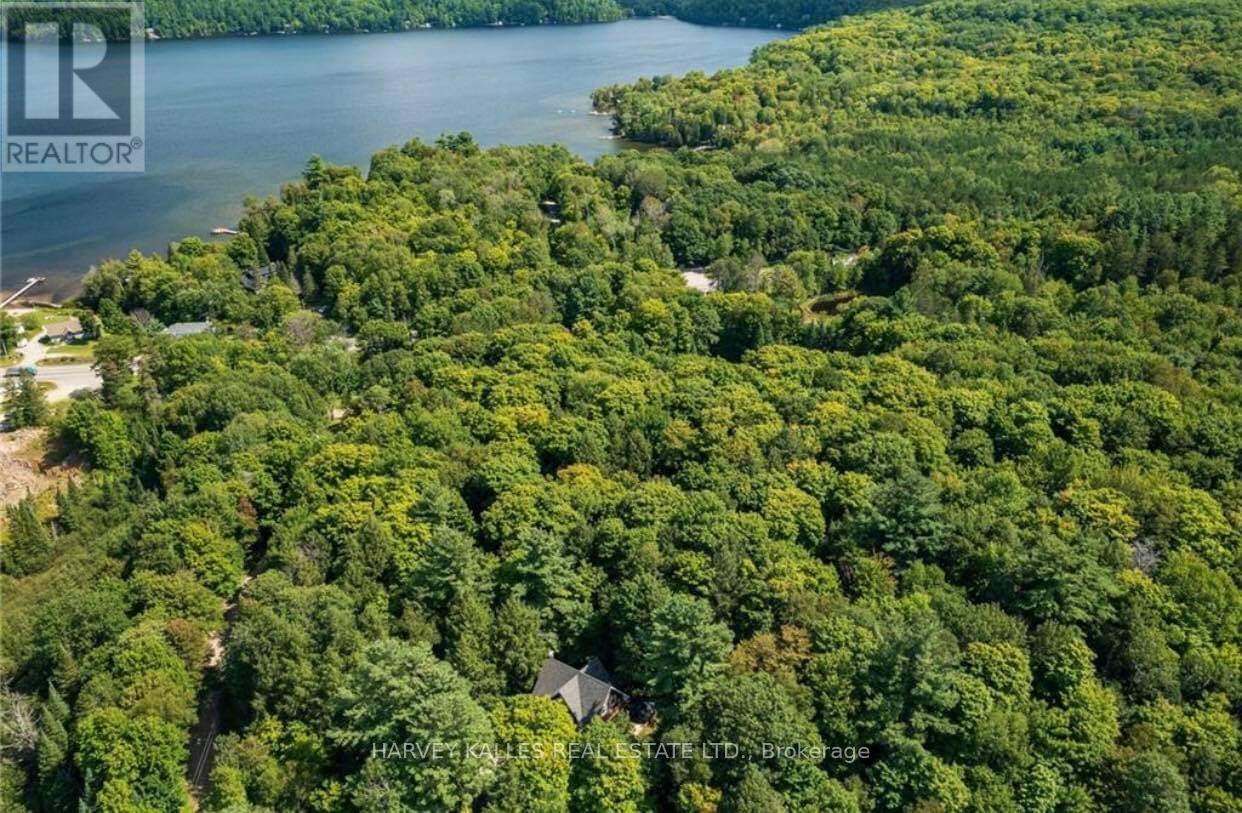 1047 Ransley Road, Minden Hills, Ontario  K0M 2K0 - Photo 7 - X12398551