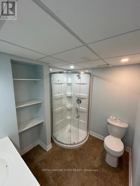 Lower - 332 Jackson Street W, Hamilton, Ontario  L8P 1M8 - Photo 5 - X12591792