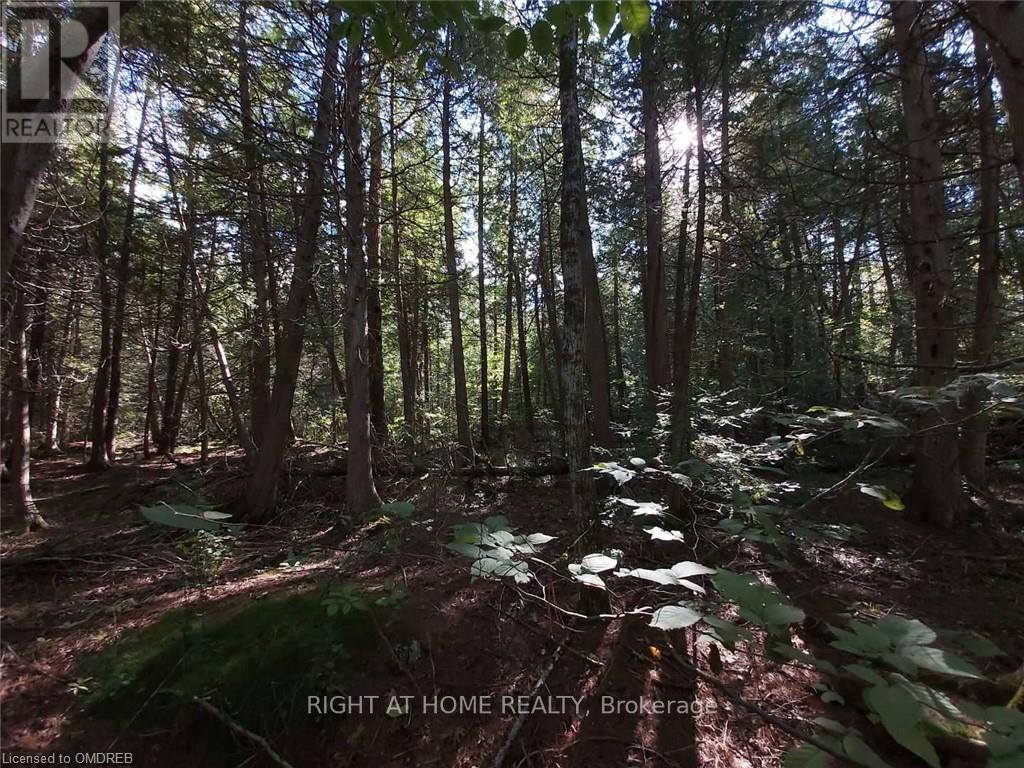 0 Rockhaven Crescent, Marmora And Lake, Ontario K0K 3K0 - Photo 3 - X12592476