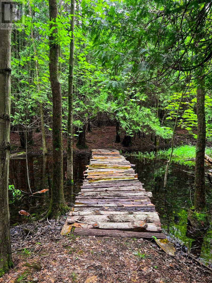 302783 Douglas Street, West Grey, Ontario  N0G 1R0 - Photo 50 - X12591866