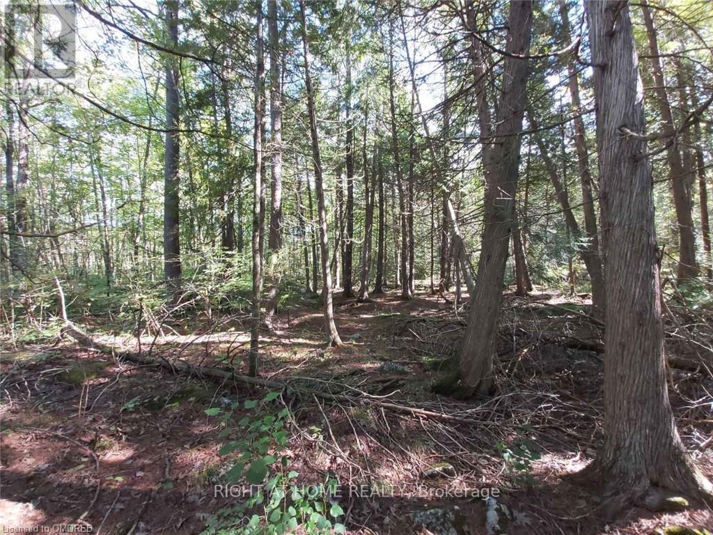 0 Rockhaven Crescent, Marmora And Lake, Ontario K0K 3K0 - Photo 2 - X12592476