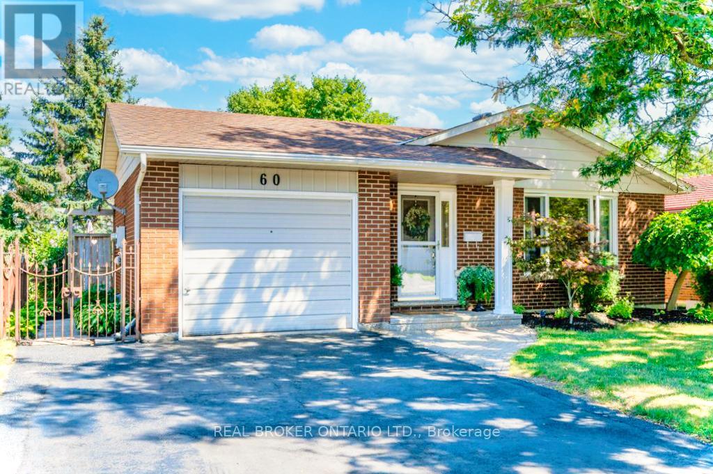Upper - 60 Sandsprings Crescent, Kitchener, Ontario N2E 2A6 - Photo 3 - X12592762