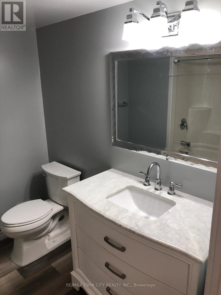 Lower - 22 Patterson Avenue, Brantford, Ontario  N3S 6W9 - Photo 29 - X12592778