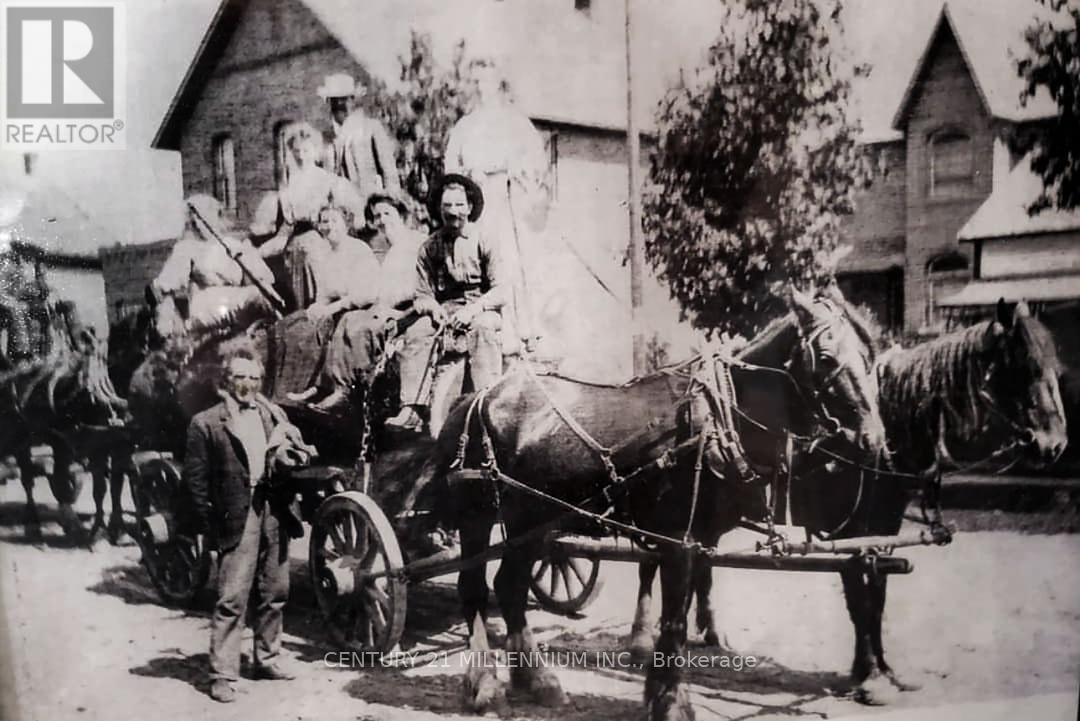 794093 County Road 124, Clearview, Ontario N0C 1M1 - Photo 3 - S12592982